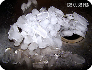 Ice Cube Fun