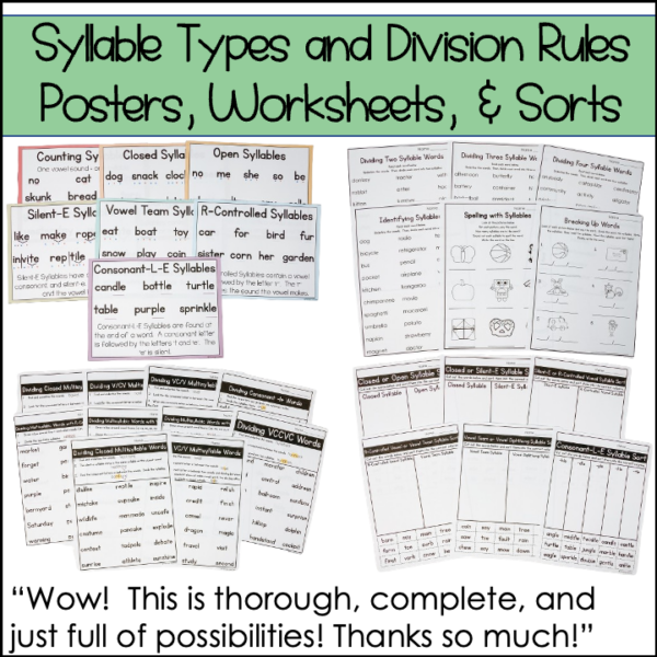 Counting Segmenting and Dividing Syllables Worksheets Syllable Division Types - Image 5