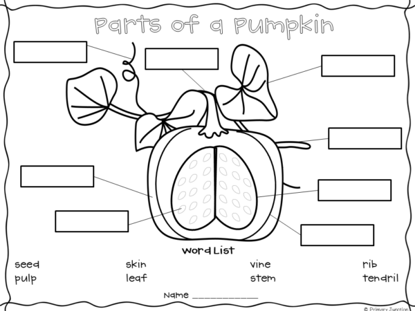 Pumpkin Day Unit