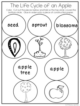 Johnny Appleseed Unit Literacy Math Science Social Studies Activities